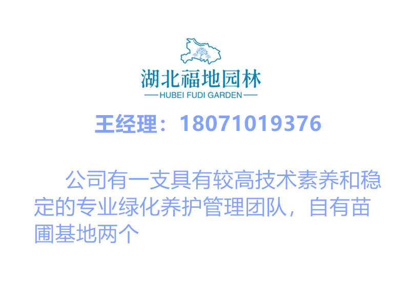 專業(yè)團(tuán)隊